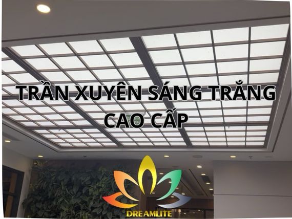 Trần xuyên sáng trắng cho sảnh toà nhà, văn phòng hiện đại 2027